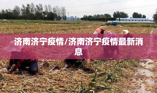 济南济宁疫情/济南济宁疫情最新消息