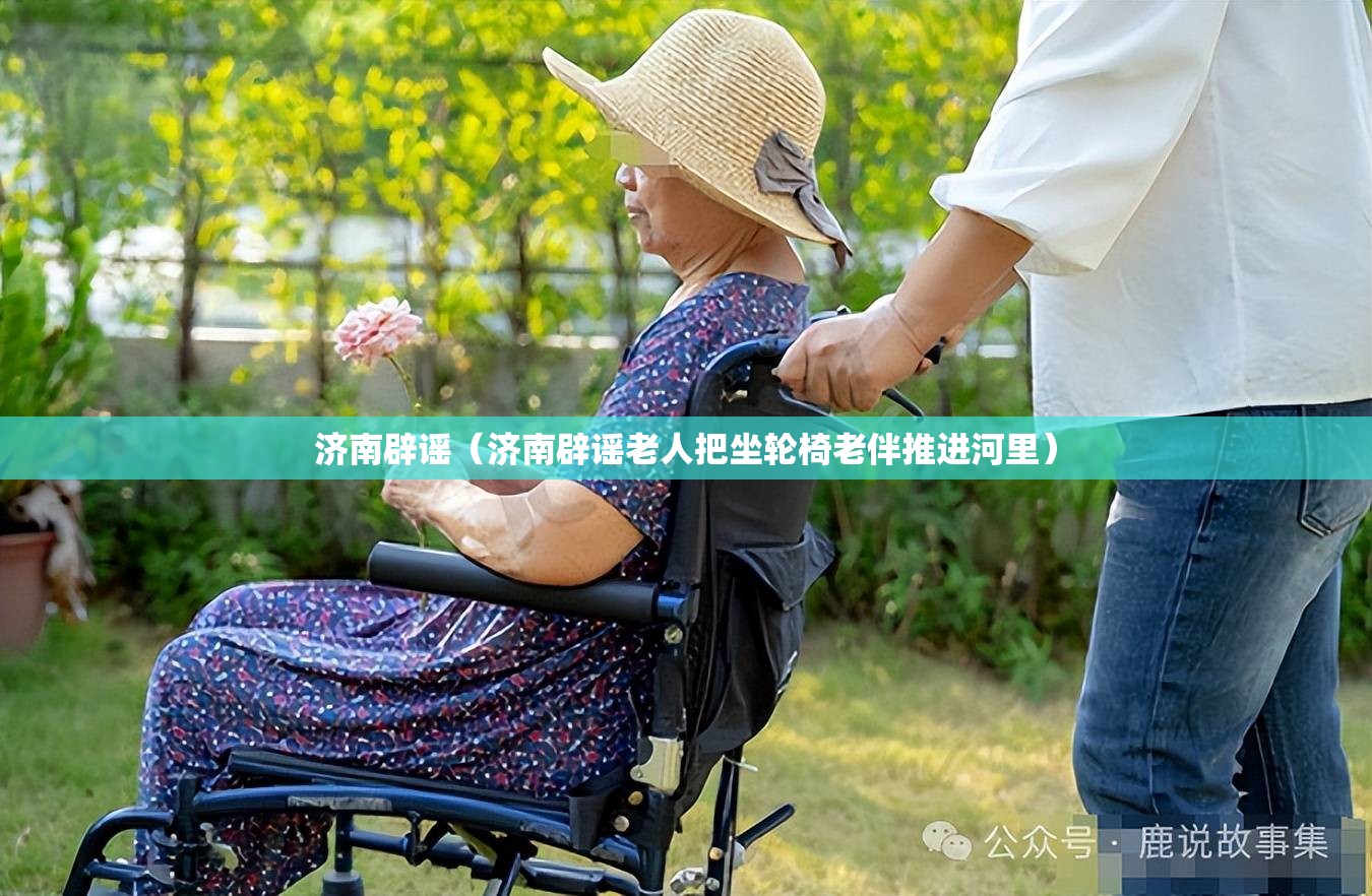 济南辟谣（济南辟谣老人把坐轮椅老伴推进河里）
