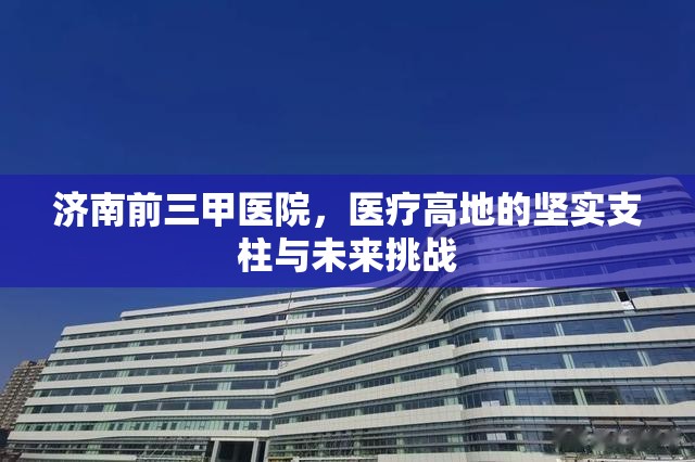 济南前三甲医院，医疗高地的坚实支柱与未来挑战