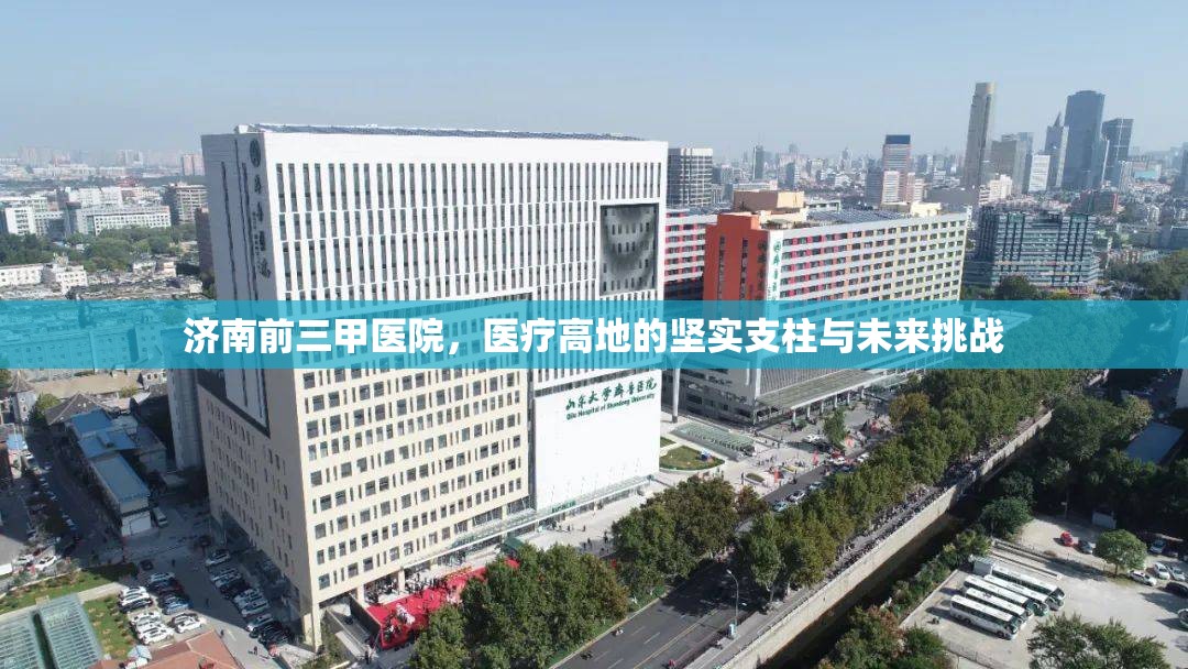 济南前三甲医院，医疗高地的坚实支柱与未来挑战