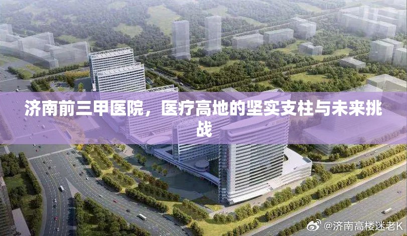 济南前三甲医院，医疗高地的坚实支柱与未来挑战