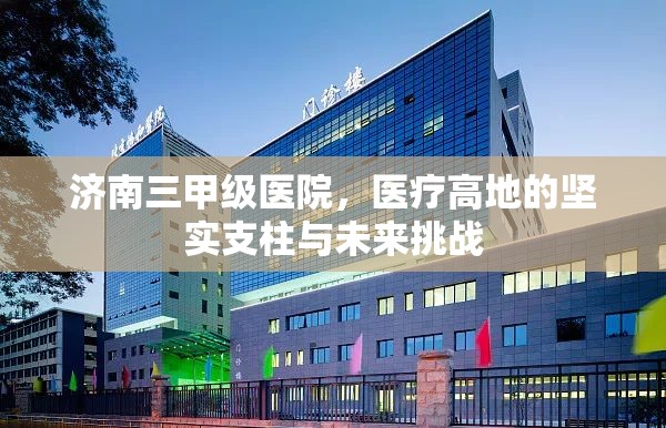 济南三甲级医院，医疗高地的坚实支柱与未来挑战