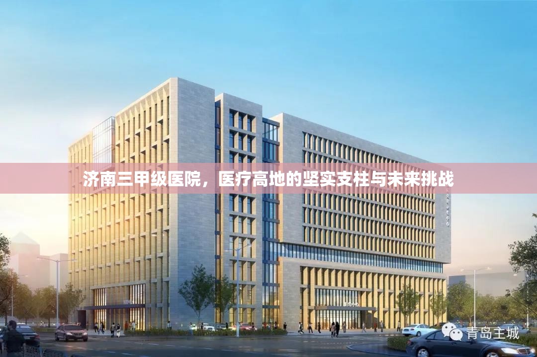 济南三甲级医院，医疗高地的坚实支柱与未来挑战