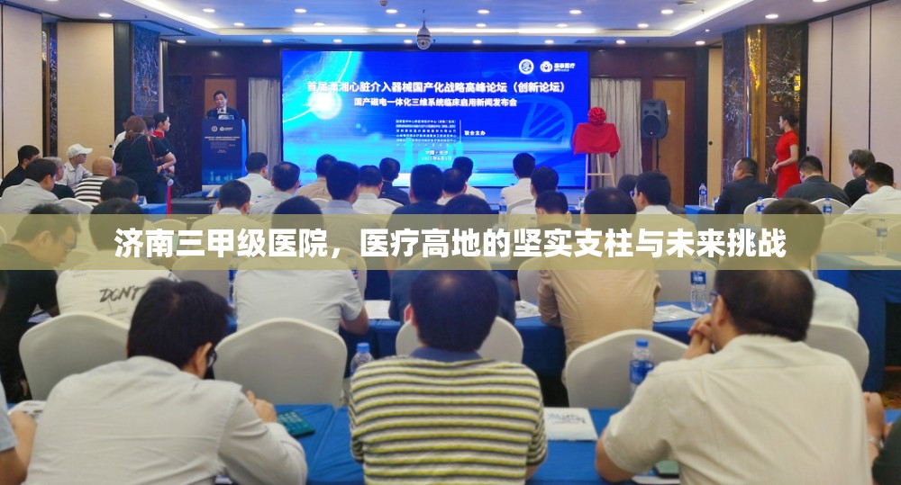 济南三甲级医院，医疗高地的坚实支柱与未来挑战