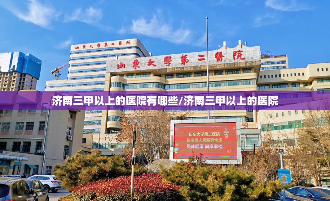 济南三甲以上的医院有哪些/济南三甲以上的医院