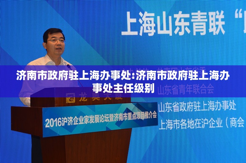济南市政府驻上海办事处:济南市政府驻上海办事处主任级别
