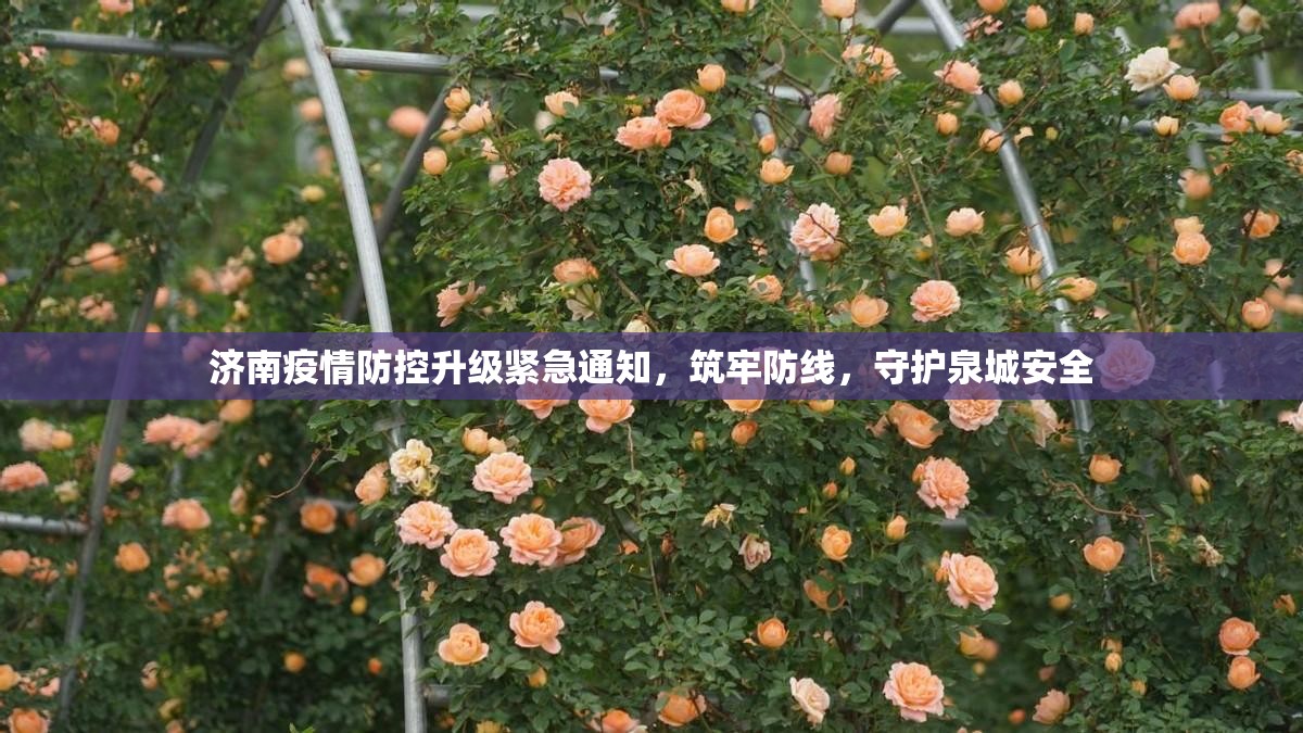 济南疫情防控升级紧急通知，筑牢防线，守护泉城安全