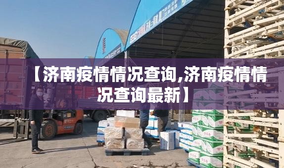 【济南疫情情况查询,济南疫情情况查询最新】