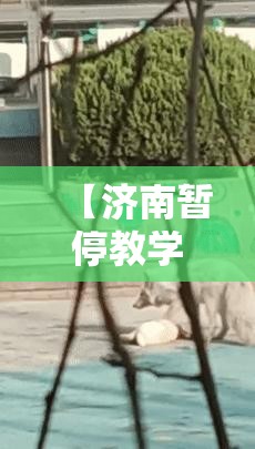 【济南暂停教学活动/济南暂停教学活动通知】