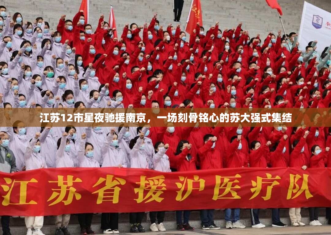 江苏12市星夜驰援南京，一场刻骨铭心的苏大强式集结