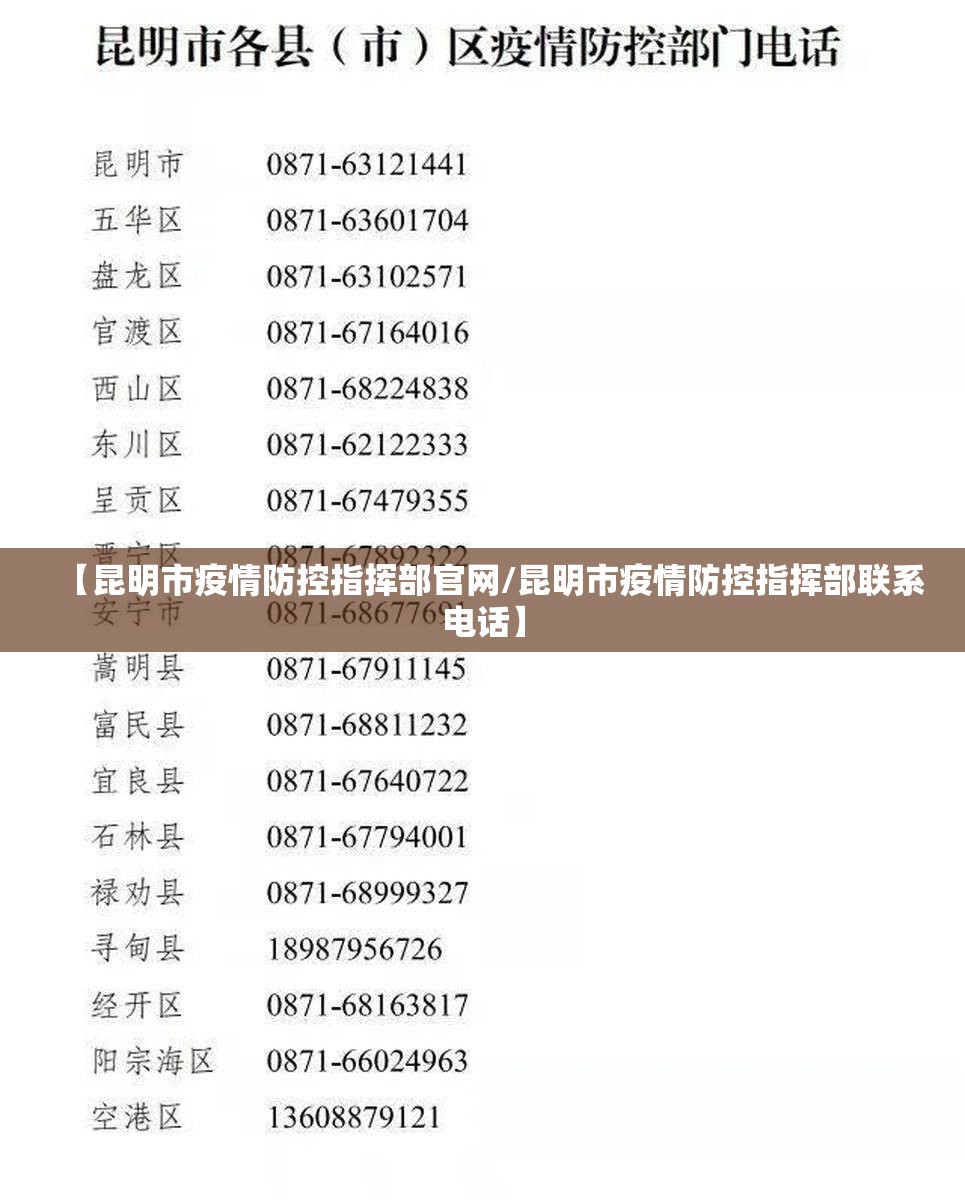 上海疫情23日最新研判，精准防控下的动态平衡与全民坚守