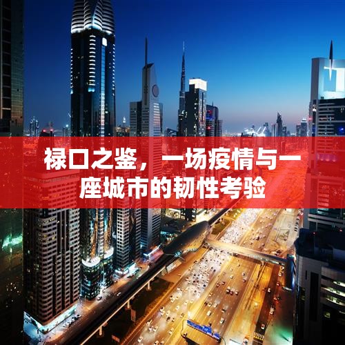 禄口之鉴，一场疫情与一座城市的韧性考验