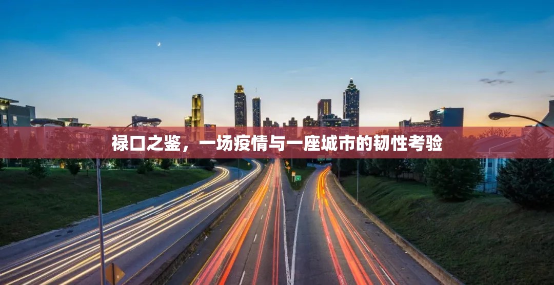 禄口之鉴，一场疫情与一座城市的韧性考验