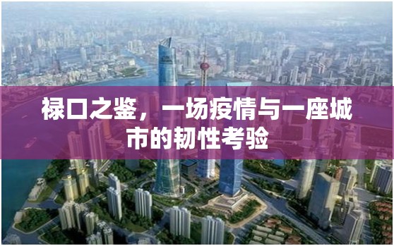 禄口之鉴，一场疫情与一座城市的韧性考验