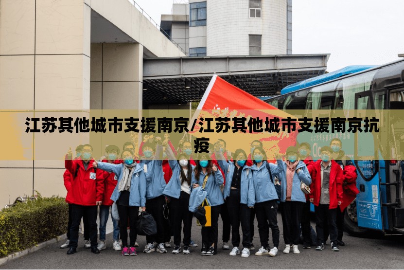 江苏其他城市支援南京/江苏其他城市支援南京抗疫