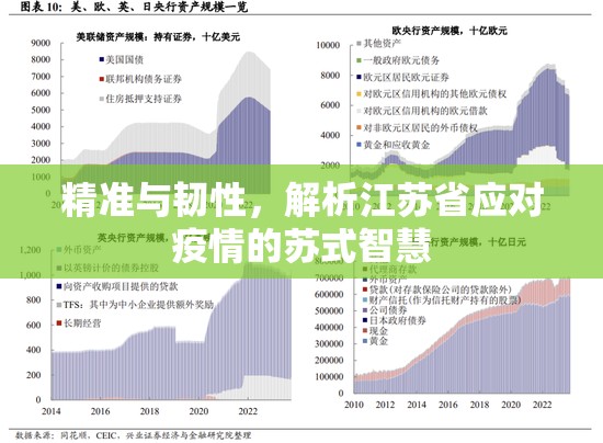 精准与韧性，解析江苏省应对疫情的苏式智慧