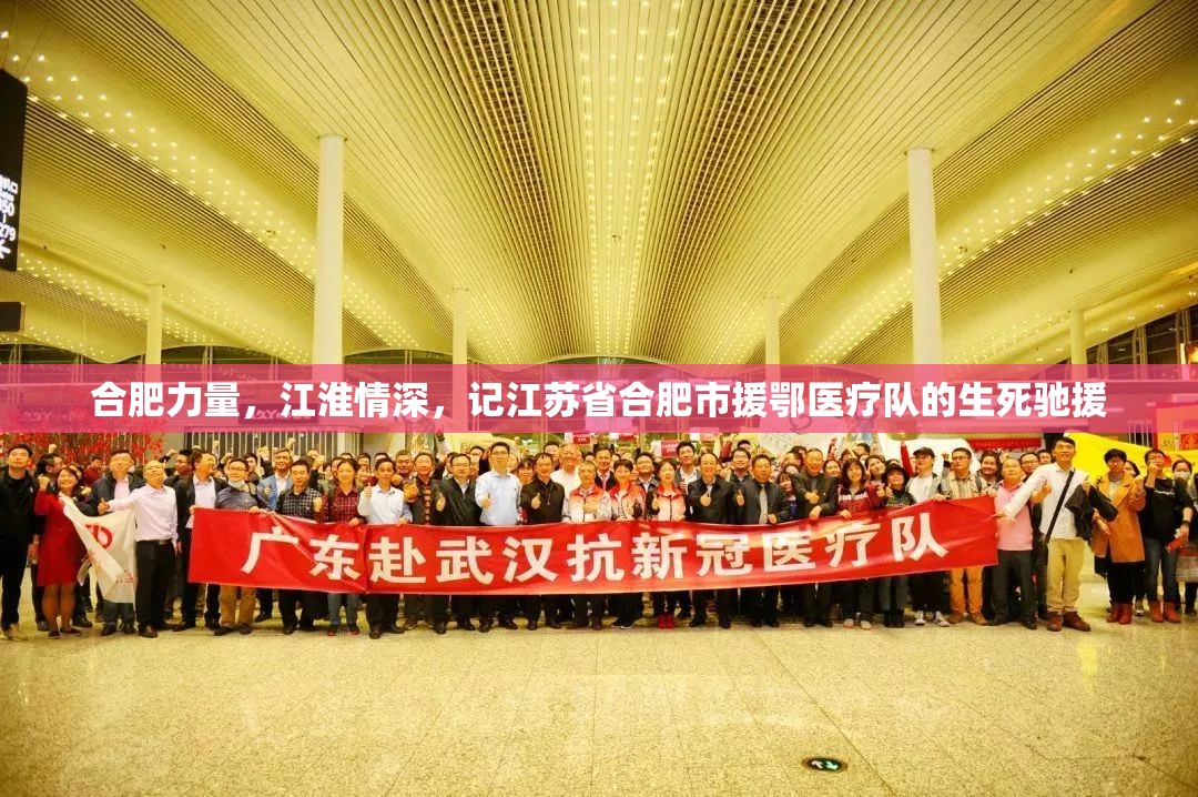 合肥力量，江淮情深，记江苏省合肥市援鄂医疗队的生死驰援