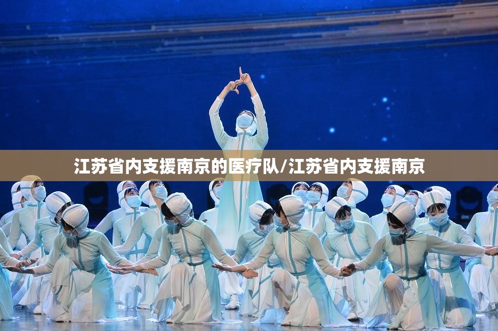 江苏省内支援南京的医疗队/江苏省内支援南京