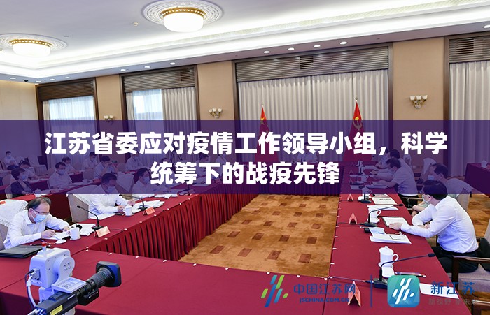 江苏省委应对疫情工作领导小组，科学统筹下的战疫先锋