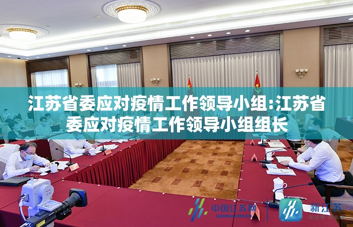 江苏省委应对疫情工作领导小组:江苏省委应对疫情工作领导小组组长