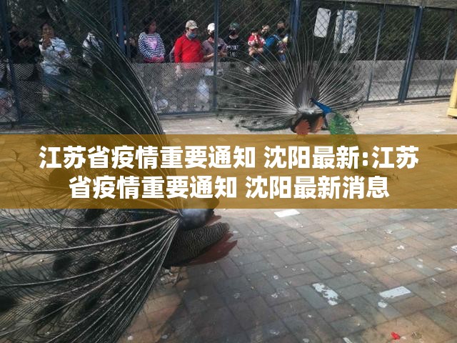 江苏省疫情重要通知 沈阳最新:江苏省疫情重要通知 沈阳最新消息