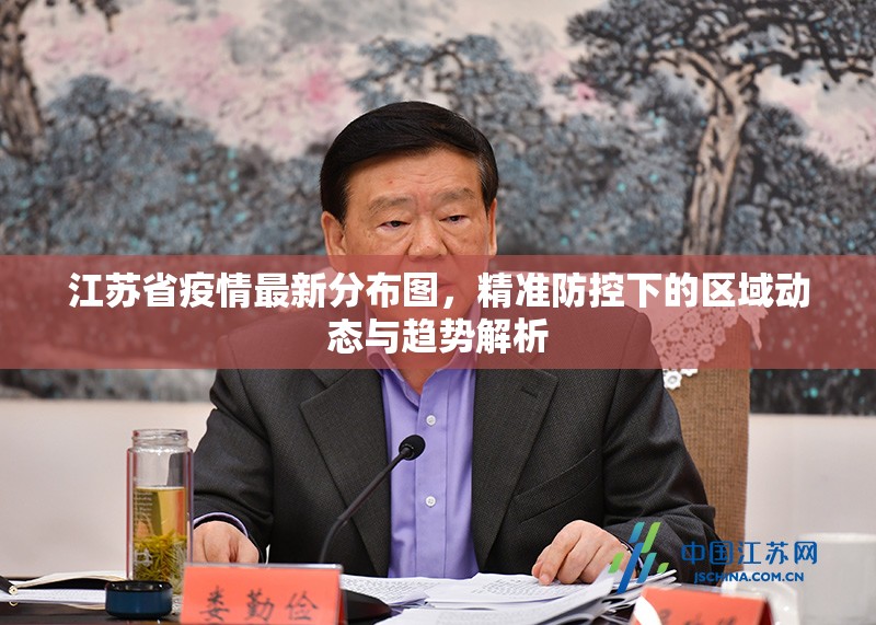 江苏省疫情最新分布图，精准防控下的区域动态与趋势解析