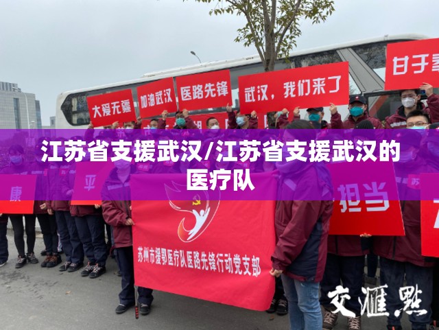江苏省支援武汉/江苏省支援武汉的医疗队