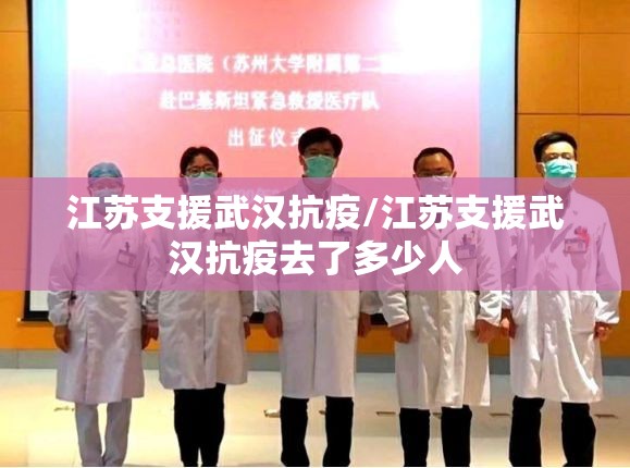 江苏支援武汉抗疫/江苏支援武汉抗疫去了多少人