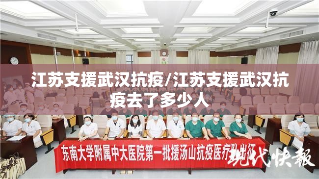 江苏支援武汉抗疫/江苏支援武汉抗疫去了多少人