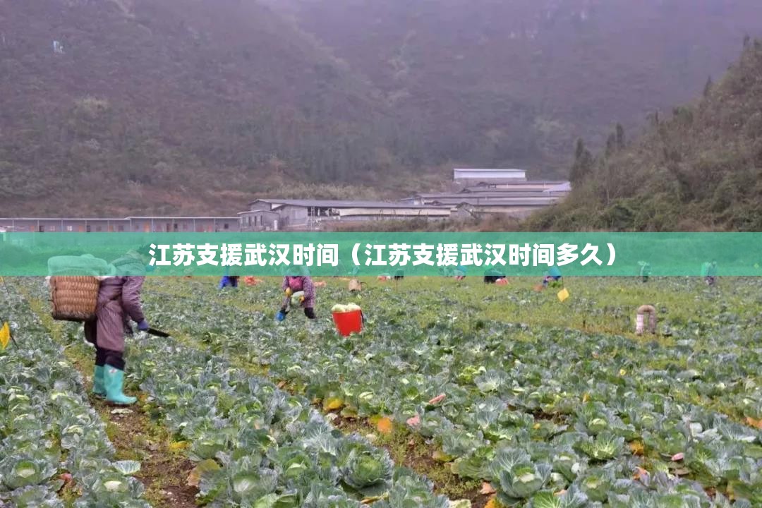 江苏支援武汉时间（江苏支援武汉时间多久）