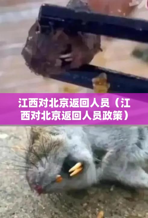 江西对北京返回人员（江西对北京返回人员政策）