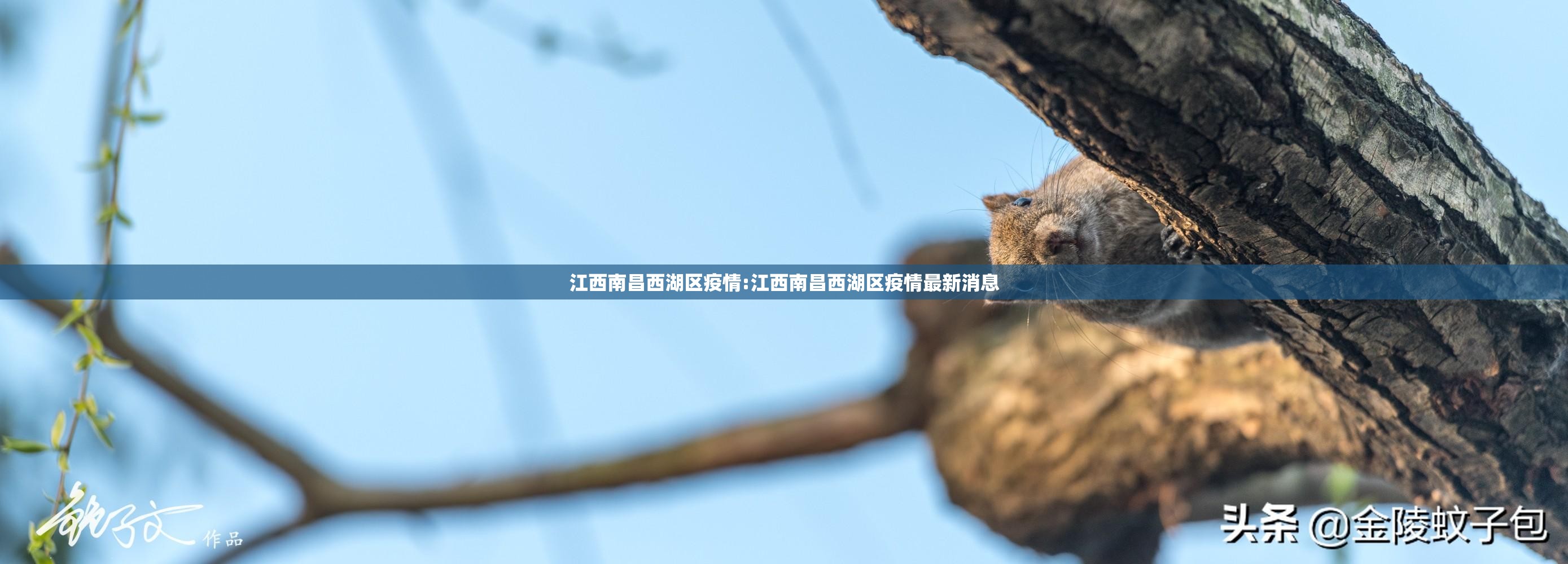 江西南昌西湖区疫情:江西南昌西湖区疫情最新消息
