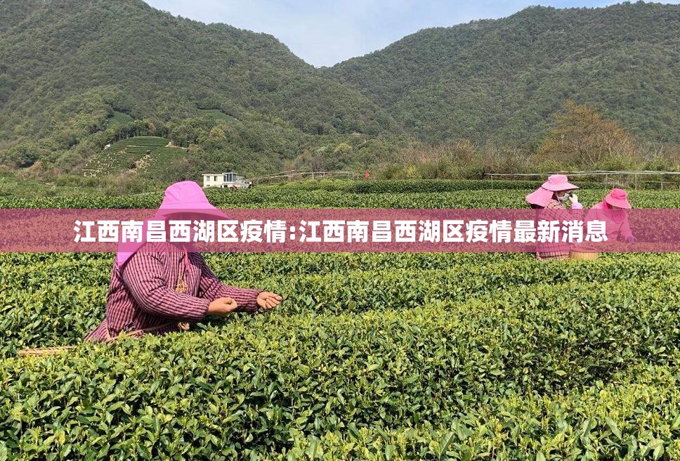 江西南昌西湖区疫情:江西南昌西湖区疫情最新消息