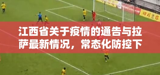 江西省关于疫情的通告与拉萨最新情况，常态化防控下的区域协作与挑战