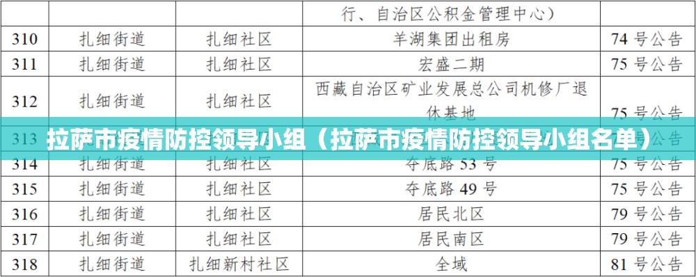 拉萨市疫情防控领导小组（拉萨市疫情防控领导小组名单）