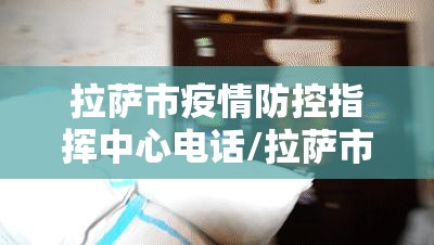 拉萨市疫情防控指挥中心电话/拉萨市疫情防控指挥中心电话号码