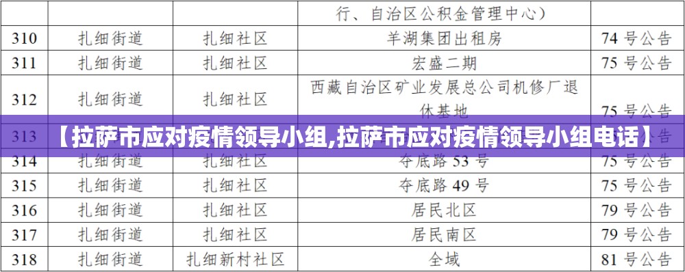 【拉萨市应对疫情领导小组,拉萨市应对疫情领导小组电话】