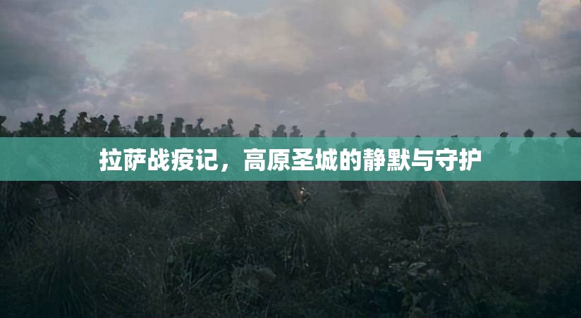 拉萨战疫记，高原圣城的静默与守护