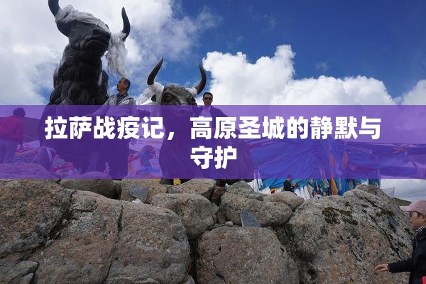 拉萨战疫记，高原圣城的静默与守护