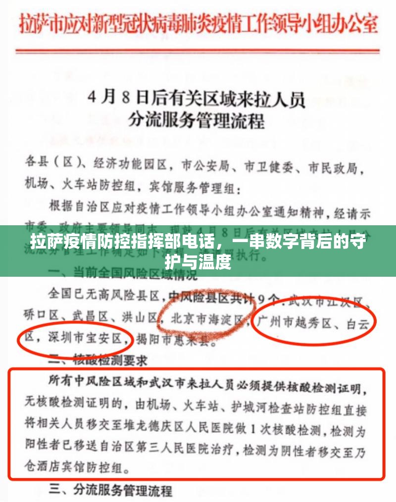 拉萨疫情防控指挥部电话，一串数字背后的守护与温度
