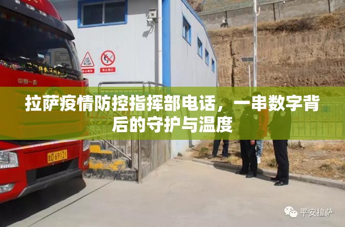 拉萨疫情防控指挥部电话，一串数字背后的守护与温度