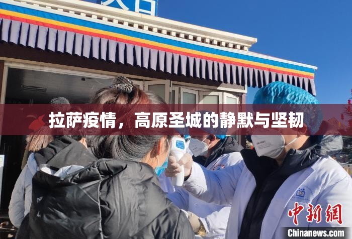 拉萨疫情，高原圣城的静默与坚韧