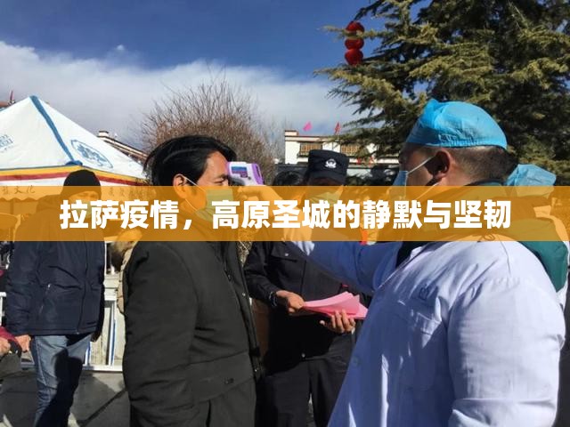 拉萨疫情，高原圣城的静默与坚韧