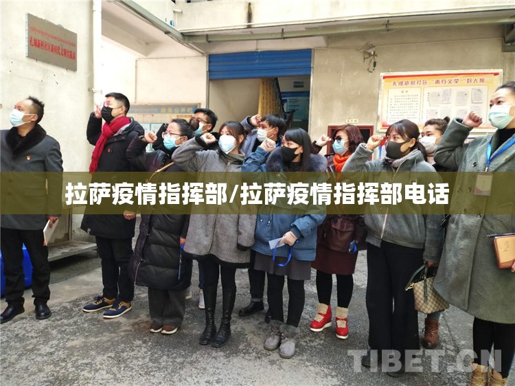 拉萨疫情指挥部/拉萨疫情指挥部电话