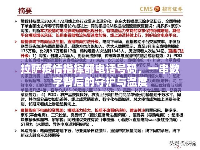 拉萨疫情指挥部电话号码，一串数字背后的守护与温度