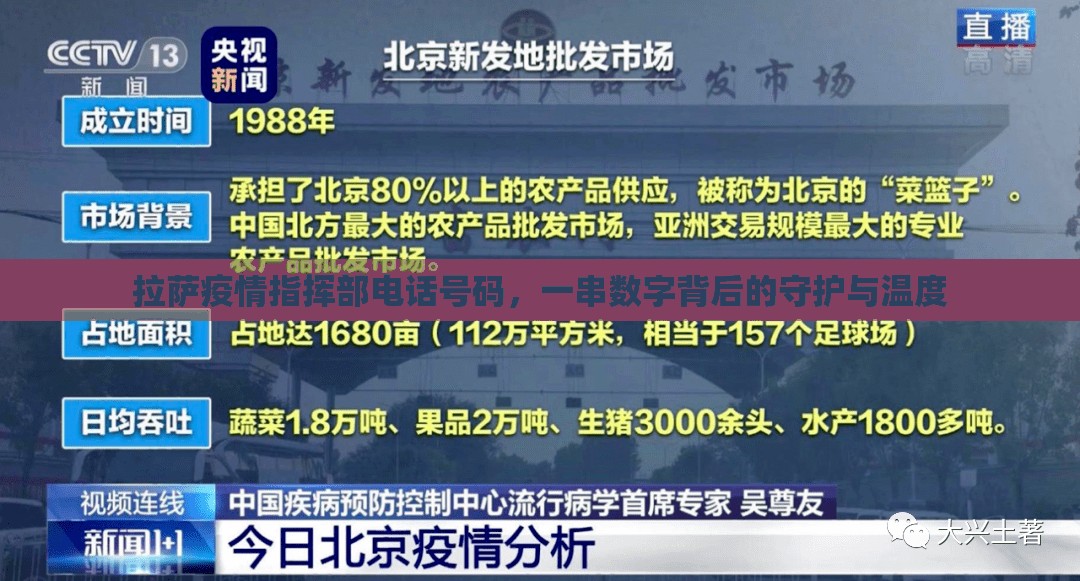 拉萨疫情指挥部电话号码，一串数字背后的守护与温度