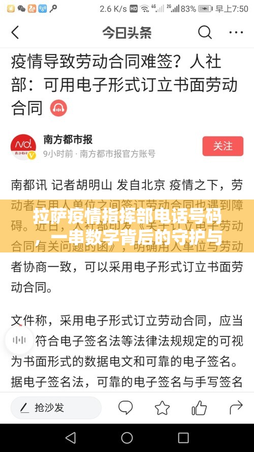 拉萨疫情指挥部电话号码，一串数字背后的守护与温度