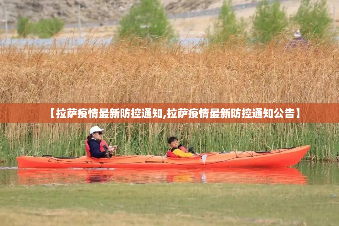【拉萨疫情最新防控通知,拉萨疫情最新防控通知公告】