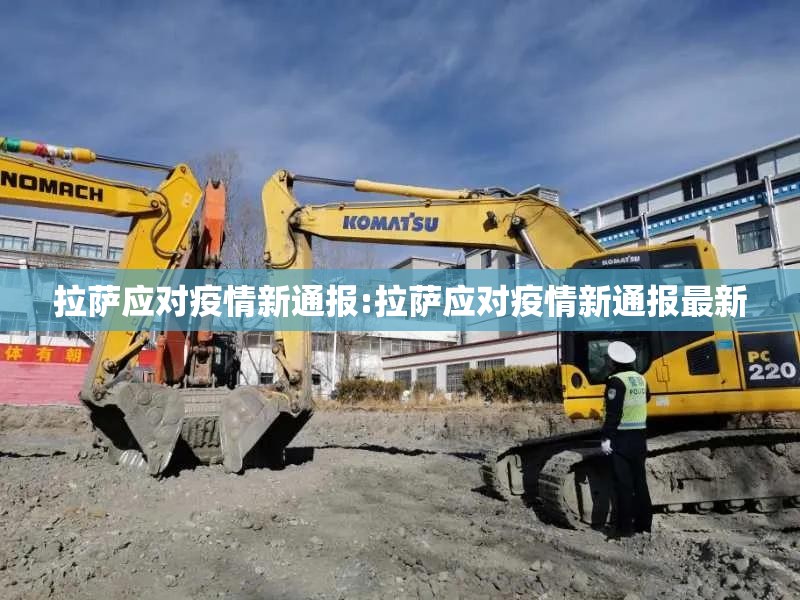 拉萨应对疫情新通报:拉萨应对疫情新通报最新