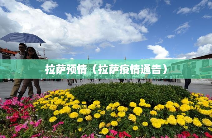 拉萨预情（拉萨疫情通告）